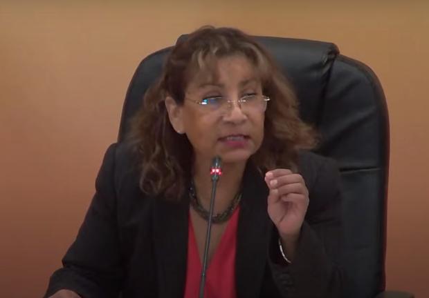 Rocío Vargas durante su participación en el foro 7 del Parlamento Abierto para la Reforma Eléctrica.
