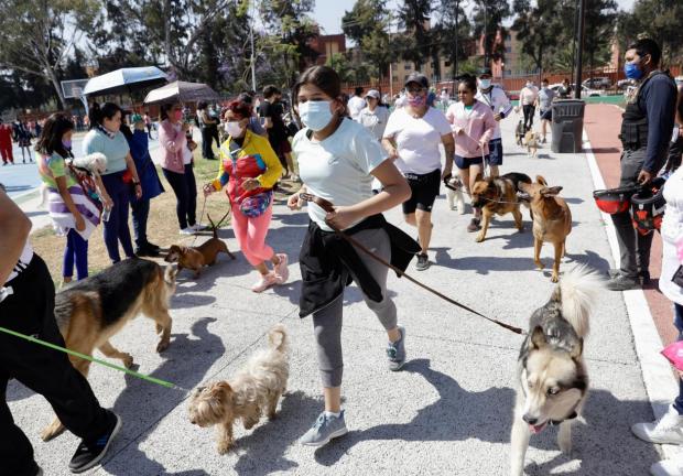 Maratón canino en Coyoacán