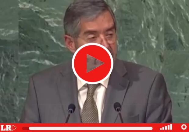 Participación de Juan Ramón de la Fuente en la ONU.
