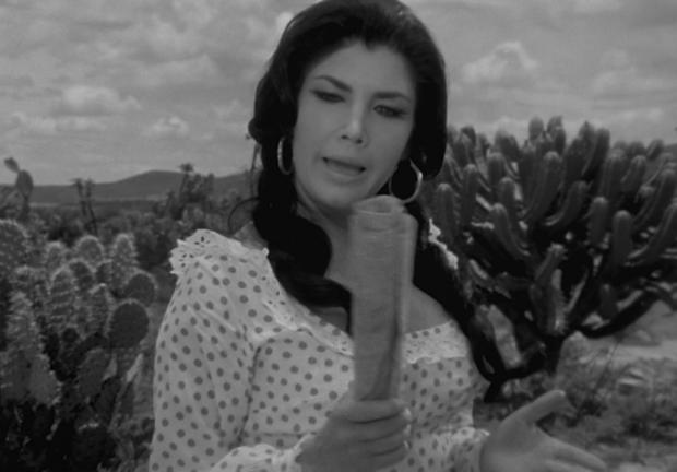 "La Tigresa" también fue diva del cine mexicano.