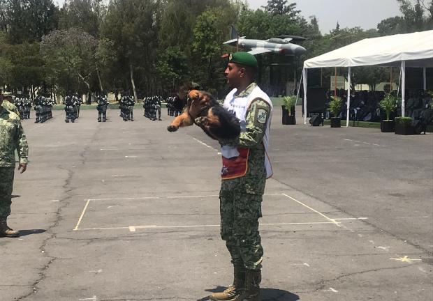Así fue la recepción de Arkadas en el Ejército Mexicano.