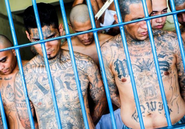 Del total de los pandilleros detenidos en El Salvador, el 90 por ciento tiene detención provisional decretada por un juez.