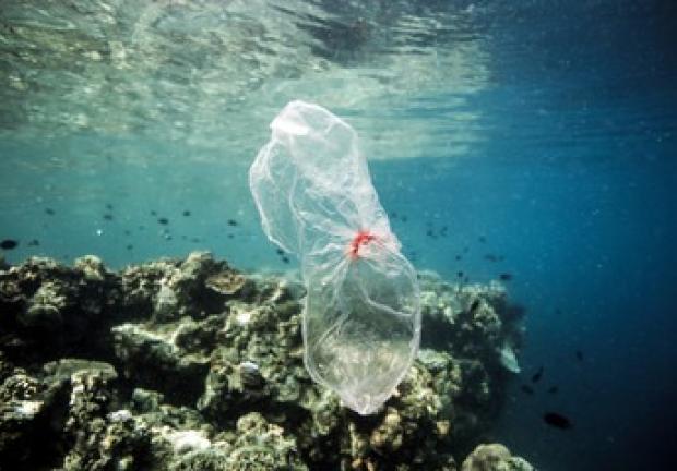 Cada año se utilizan 5 billones de bolsas de plástico a nivel mundial.