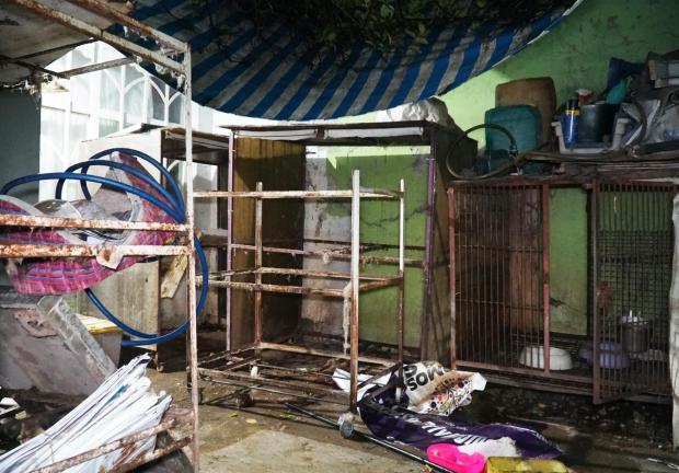 Cierran criadero clandestino en Ecatepec, donde rescataron a 31 perritos