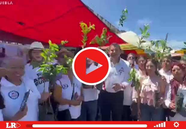 La magia de la Sierra Norte cobija al senador Alejandro Armenta en campaña de protección al ambiente, en Puebla