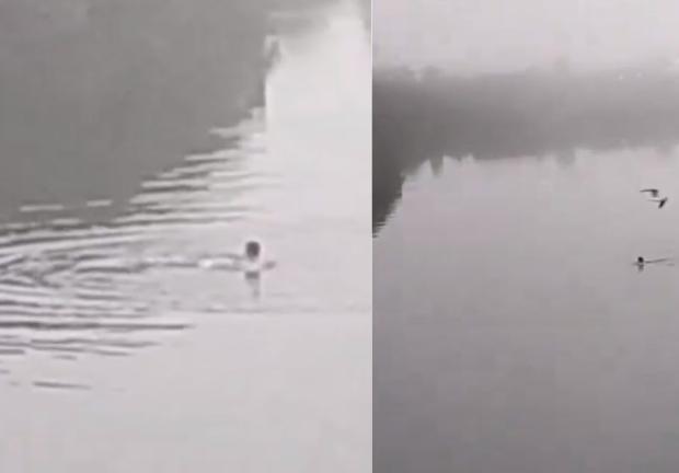 Un joven enfrentó a un cocodrilo en la laguna de Tampico; "buscaba emociones fuertes".