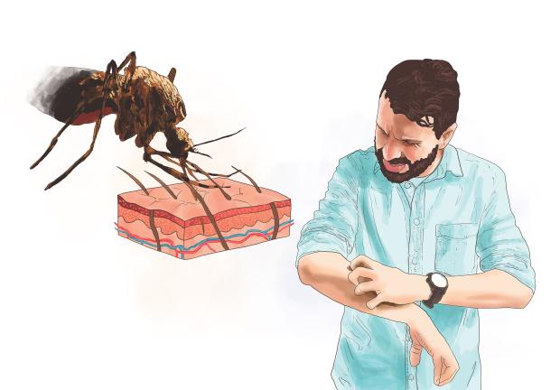 Dengue es una enfermedad que se espera en periodos de calor extremo;