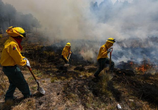 Incendios provocados han sido mayores en los últimos años que los causados en la temporada de sequía.