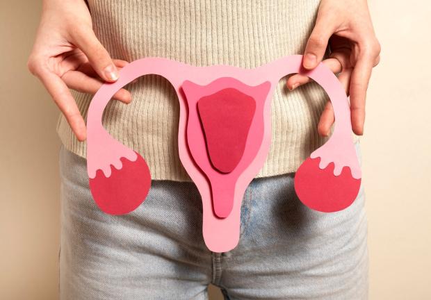 El Síndrome de Ovario Poliquístico mejor conocido como SOP afecta al 22 por ciento de las mujeres mexicanas.