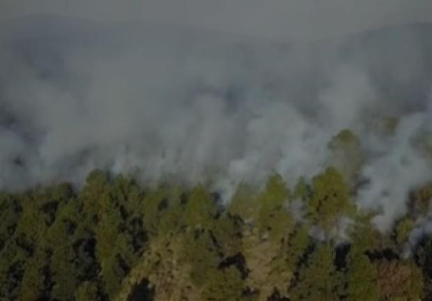 Edomex combate los incendios forestales.