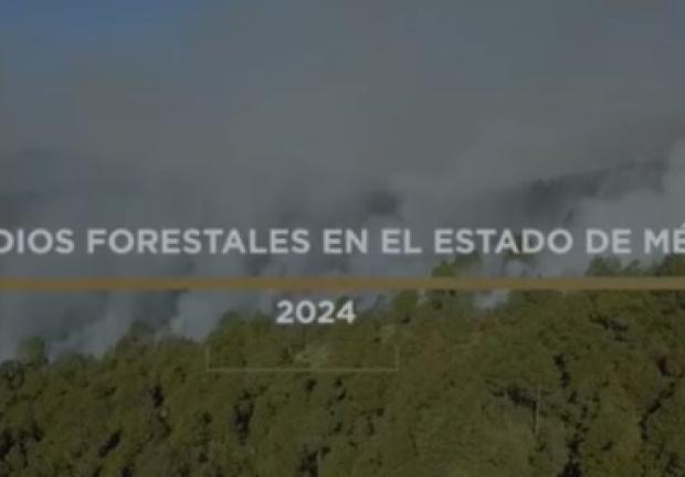 Informe de incendios forestales en Edomex.
