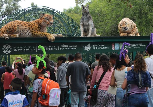 Capitalinos acuden al Zoológico de Chapultepec para disfrutar en familia. En días pasados recinto celebró su 101 aniversario.