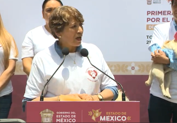 Delfina Gómez, gobernadora del Edomex, llamó a reflexionar sobre el bienestar animal, en el marco del Día Mundial del Perro.