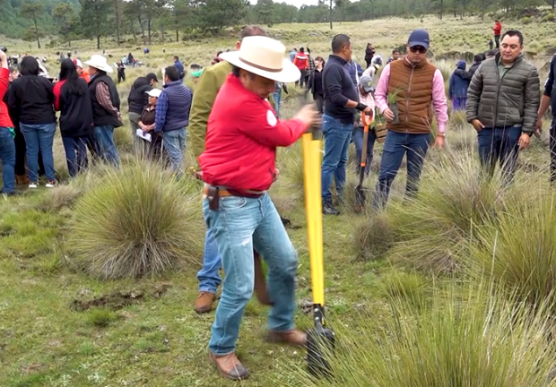 La jornada de reforestación masiva tuvo una exitosa respuesta de la ciudadanía.