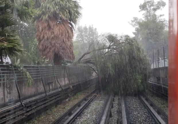 Árbol cae a vías de la Línea 5 debido a las fuertes lluvias de este martes en CDMX.