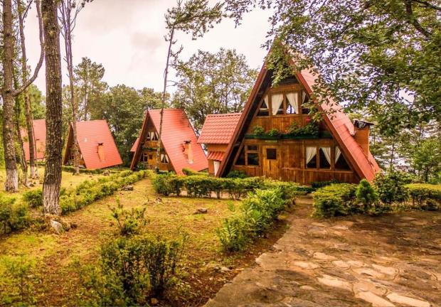 Podrás rentar una pequeña cabaña ideal para disfrutar en un entorno natural.