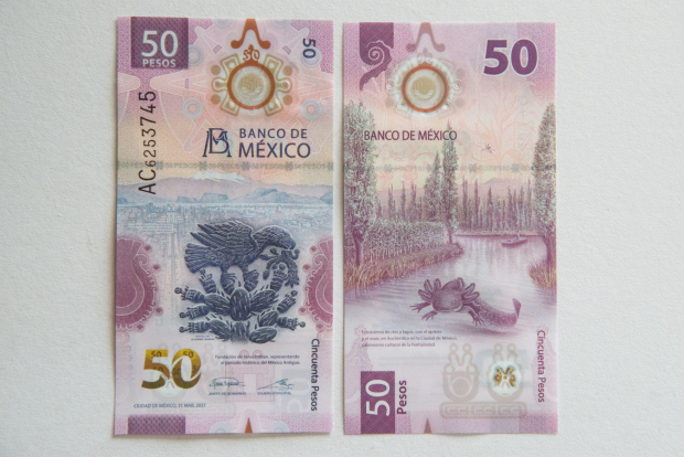 Venden billetes de 50 pesos mexicanos en cantidades estratosféricas