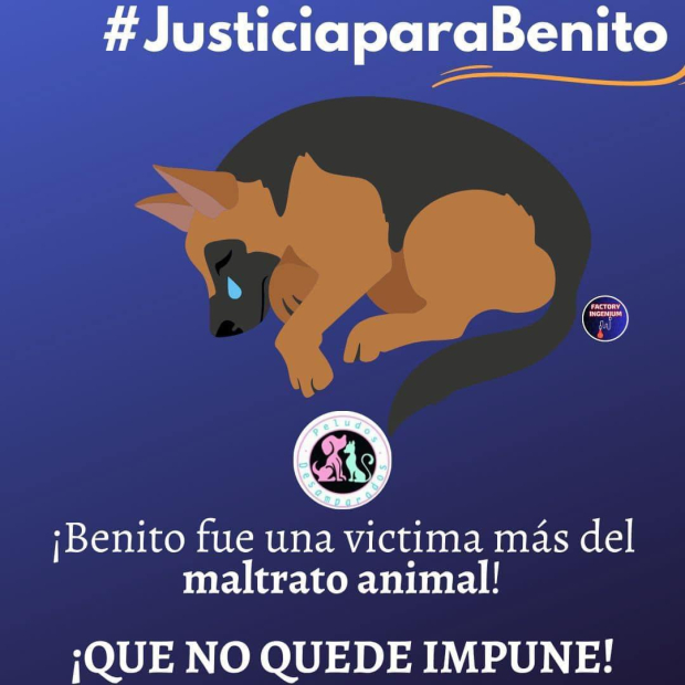 Todos queremos Justicia para Benito.