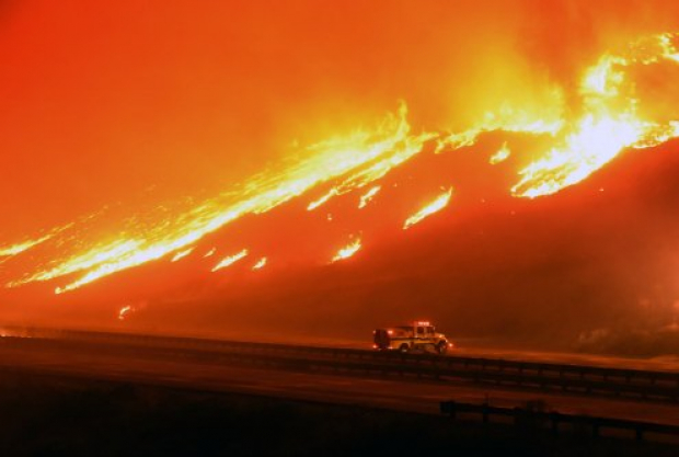 La mayoría de los incendios forestales son provocados por descuidos de las personas