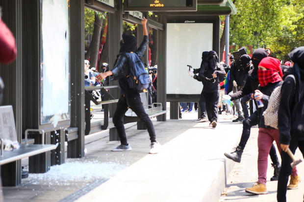 Armados con martillos, palos y otras herramientas, jóvenes embozados rompieron vidrios en las estructuras de las estaciones del Metrobús Reforma y Hamburgo, de la Línea 7.