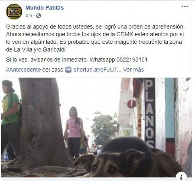 Facebook de Mundo Patitas