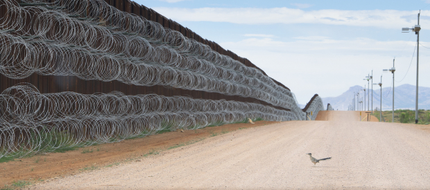 Correcaminos acercándose al muro fronterizo, de Alejandro Prieto.
