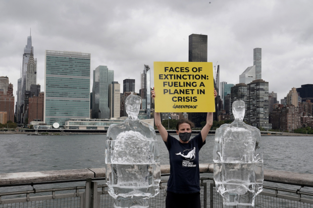 Por la ausencia de los presidentes de EU y de Brasil, en la Cumbre sobre Biodiversidad en ONU-NY, activistas de Greenpeace derritieron sus esculturas de hielo.
