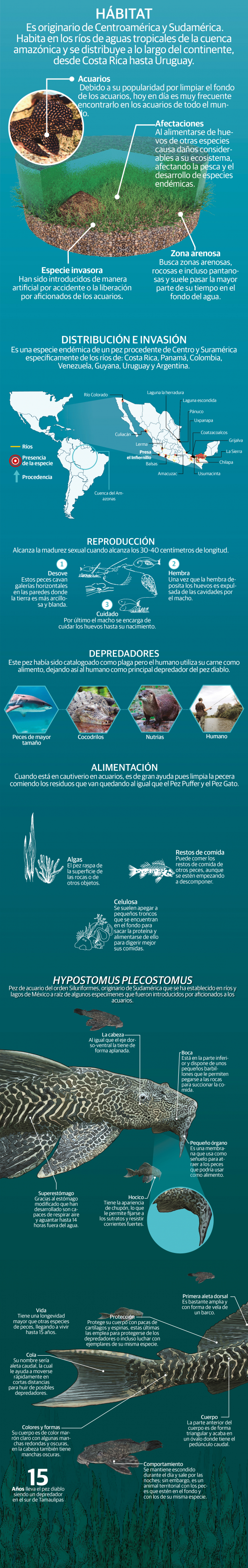 Una plaga salida del infierno pone en peligro los ecosistemas acuáticos en México