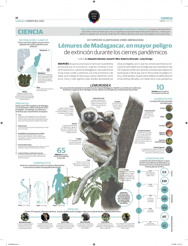 Lémures de Madagascar