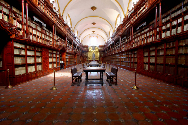 La Biblioteca Palafoxiana