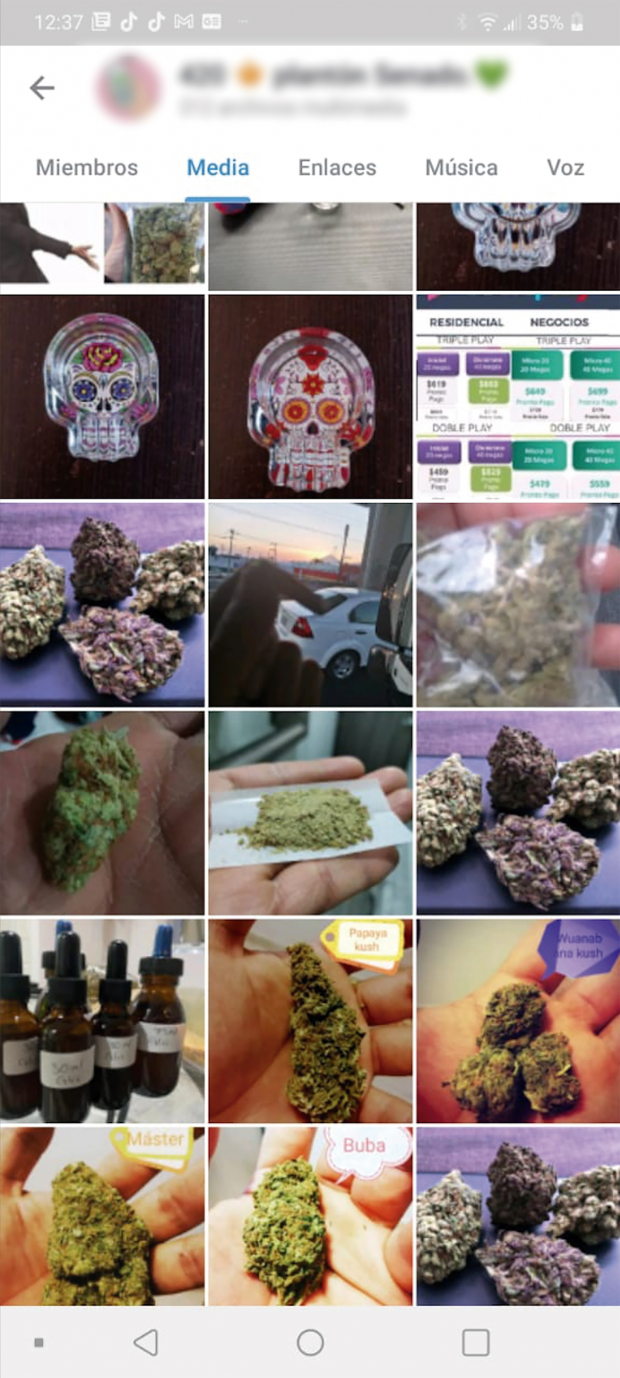 Además usuarios publican distintos tipos de marihuana para venderla.