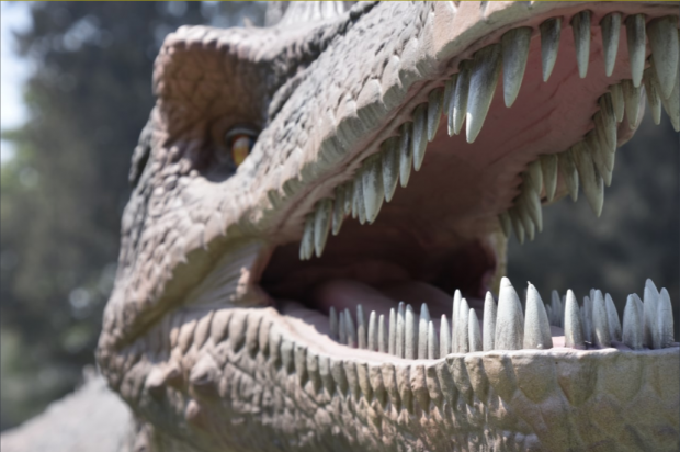 IztapaSauria contará con 13 modelos de especies de dinosaurios con movimiento y sonido integrado