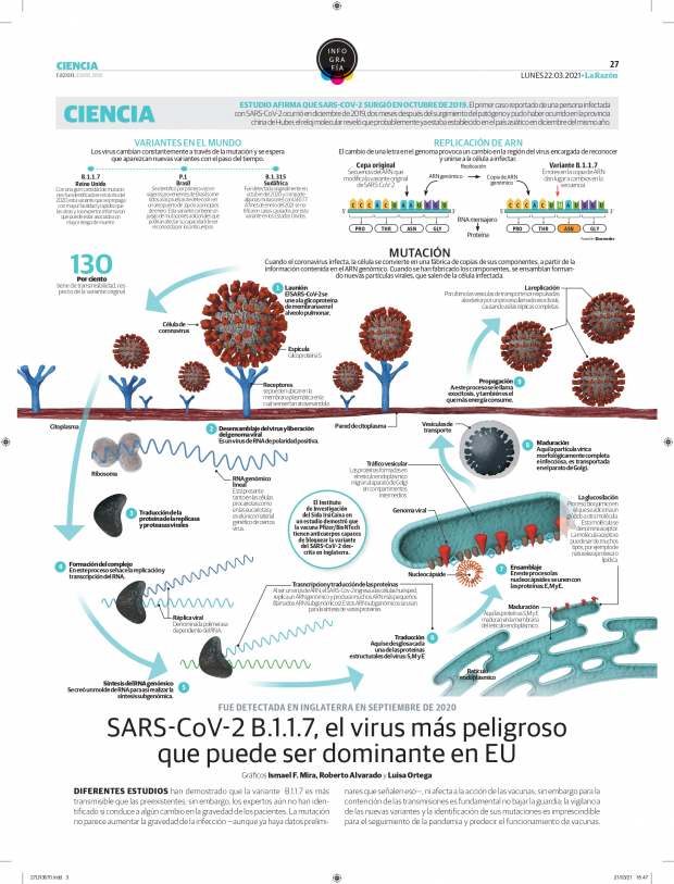 SARS-CoV-2 B.1.1.7, el virus más peligroso  que puede ser dominante en EU