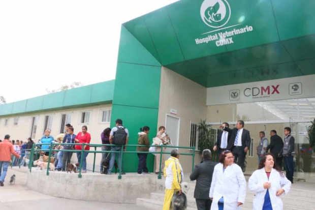 Tras su inauguración en 2016, el Hospital Veterinario, en la alcaldía Iztapalapa, llegó a dar 250 consultas diarias en promedio al día. Sin embargo, desde 2019 disminuyó sus operaciones, y desde abril del año pasado, ante el inicio de la pandemia, cerró sus puertas.