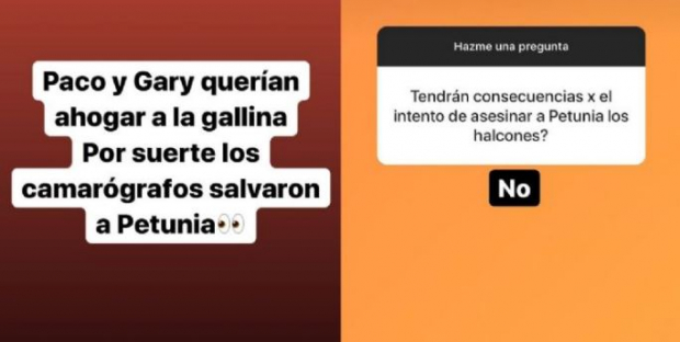Los sitios de spoilers revelan que Petunia sufrió un atentado en Survivor México 2021