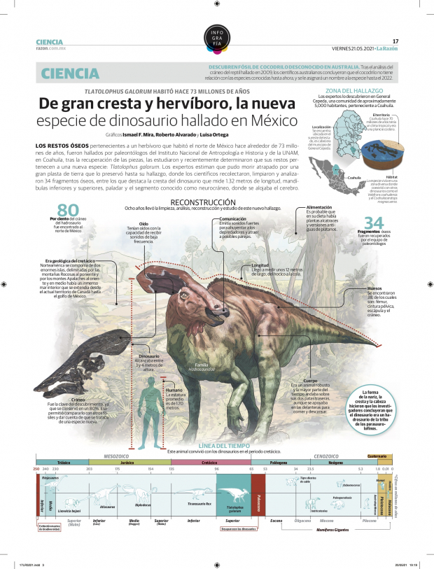 De gran cresta y hervíboro, la nueva especie de dinosaurio hallado en México