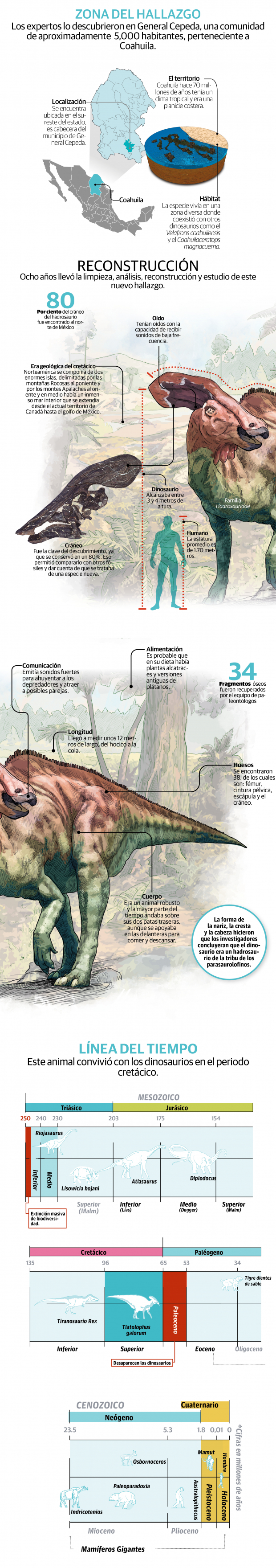 De gran cresta y hervíboro, la nueva especie de dinosaurio hallado en México