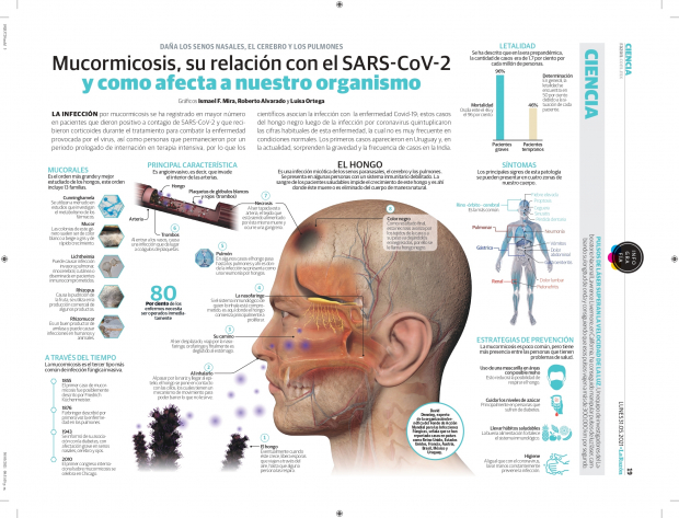 Mucormicosis, su relación con el SARS-CoV-2 y como afecta a nuestro organismo