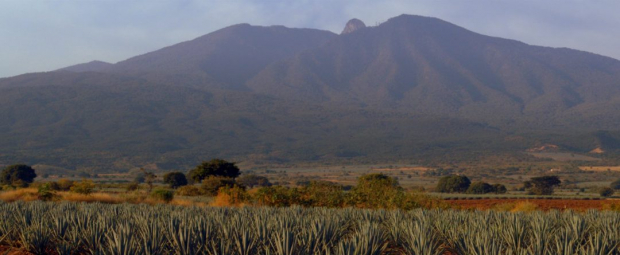 Volcán de Tequila en Jalisco