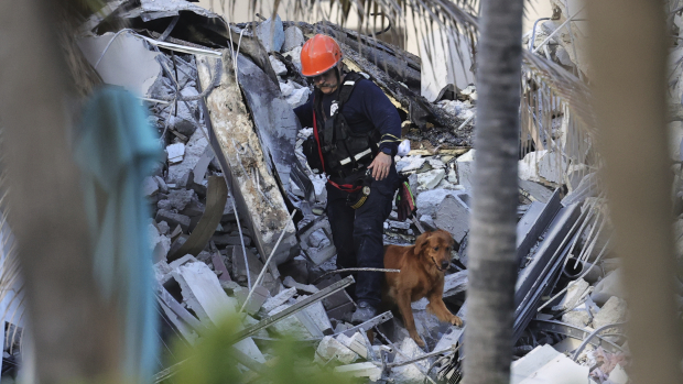 Rescatistas, con apoyo de caninos, rastrean a sobrevivientes en los escombros.