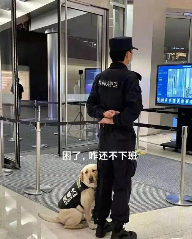 El can se recargó en el guardia del metro