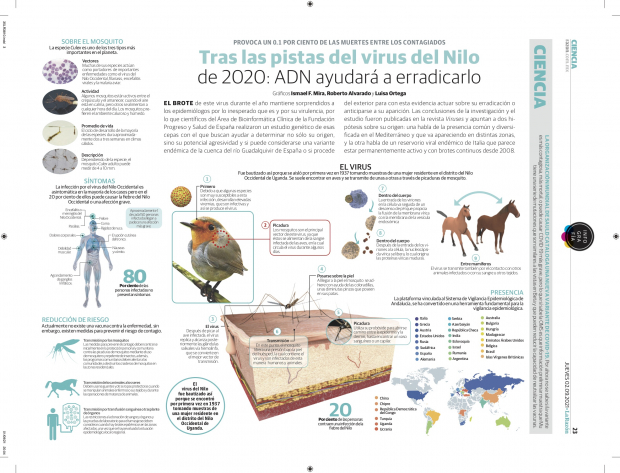 Tras las pistas del virus del Nilo de 2020: ADN ayudará a erradicarlo