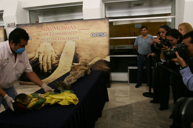 En 2009  se trasladaron piezas del Museo de las Momias de Guanajuato al foro Scotiabank de la CDMX como parte de la exhibición Las Momias de Guanajuato. Muestra Itinerante.