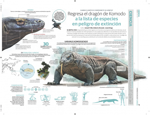 Regresa el dragón de Komodo a la lista de especies en peligro de extinción