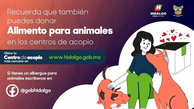 Imagen compartida por el gobernador de Hidalgo, Omar Fayad, para exhortar a las personas a donar alimentos para los animales afectados por la inundación en Tula.