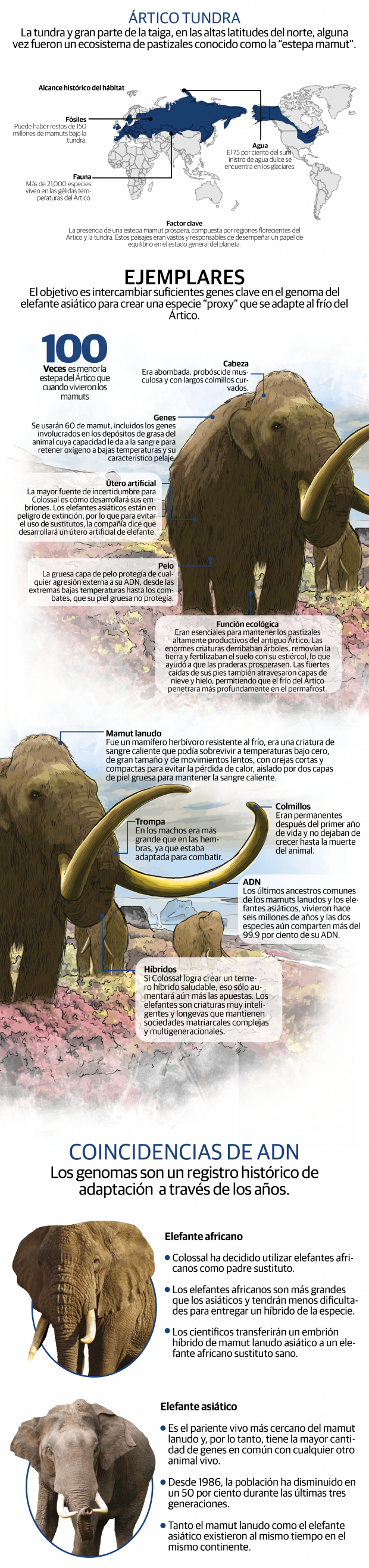 “Regreso” del mamut lanudo… a un paso con híbridos de elefante