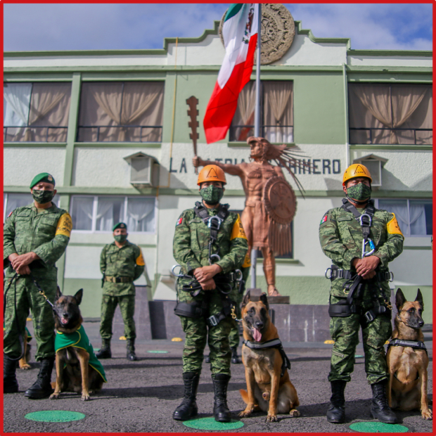 Personal de la Policía Militar con binomios caninos de diferentes especialidades, búsqueda y rescate de personas, búsqueda de enervantes con especialidad en fentanilo, búsqueda de papel moneda y búsqueda de explosivos