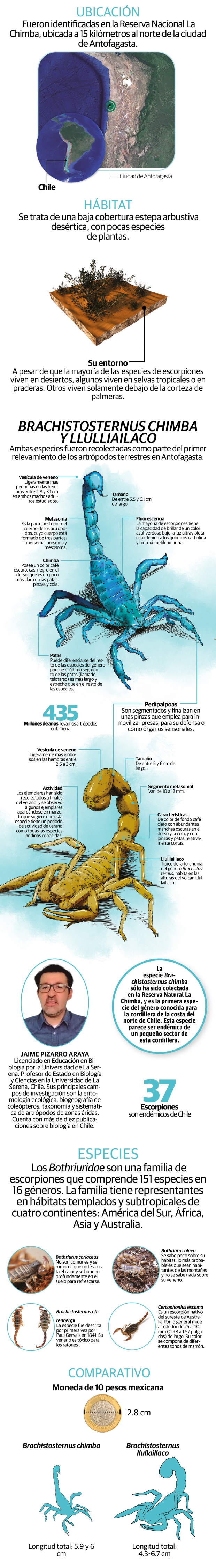 Descubren dos especies de escorpión en áreas protegidas de Antofagasta, Chile
