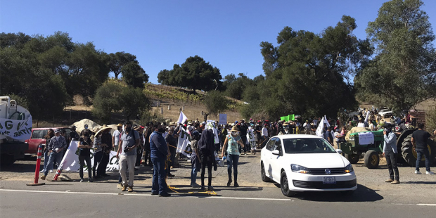 Manifestantes en el Valle de Guadalupe.