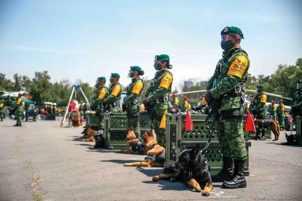 Cuerpo de binomios caninos para búsqueda y rescate de personas.